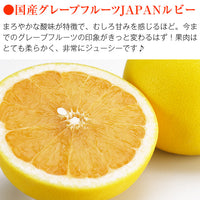 【直送品】国産柑橘セット