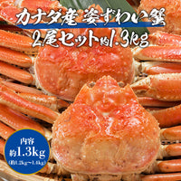 【市場品】【冷凍】姿ずわい2尾 約1.3kg(1.2kg～1.4kg)